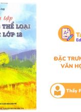 Tuyển tập đặc trưng thể loại Văn Học 12 Thầy Phạm Minh Nhật PDF
